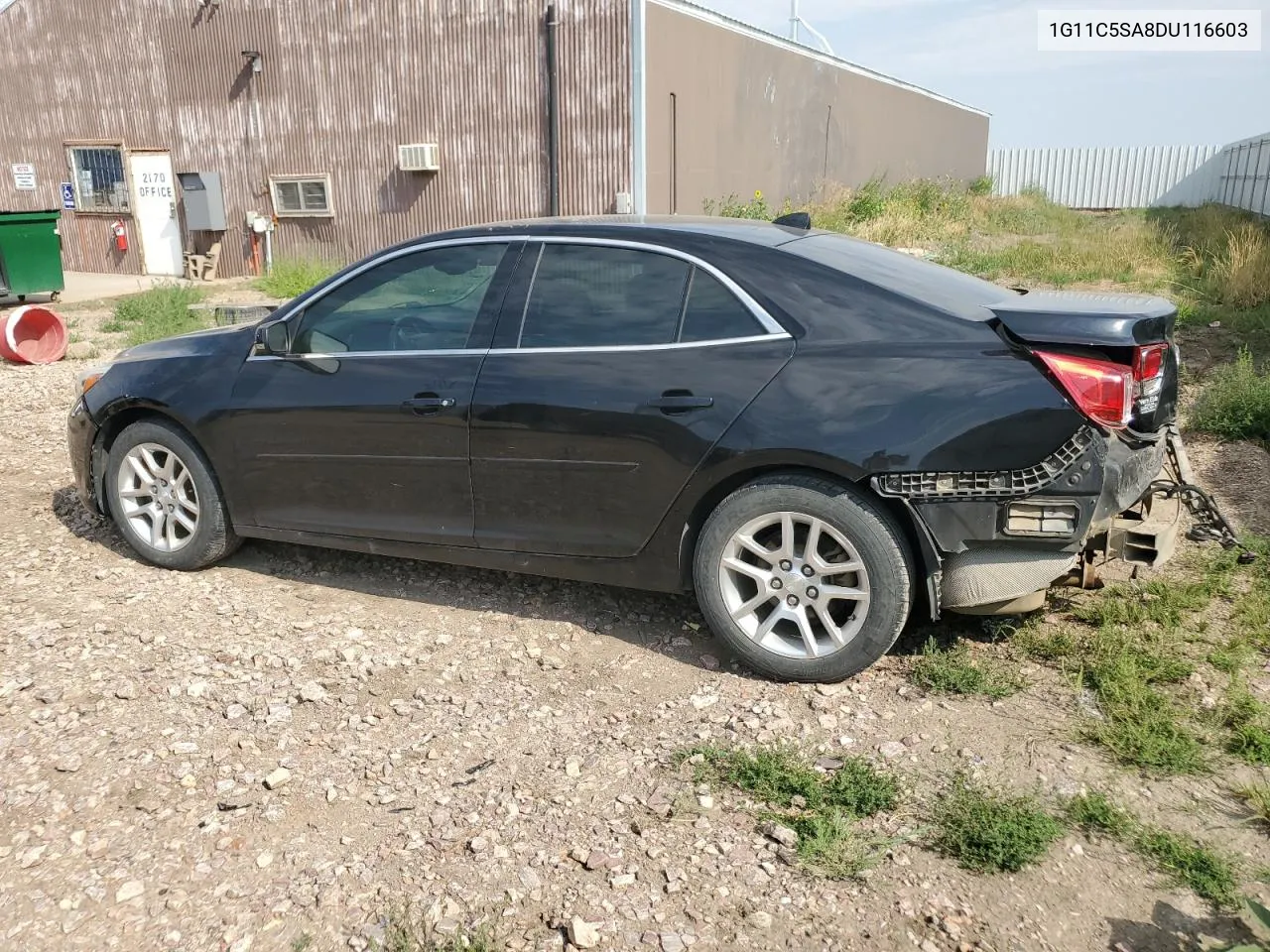 2013 Chevrolet Malibu 1Lt VIN: 1G11C5SA8DU116603 Lot: 66471264