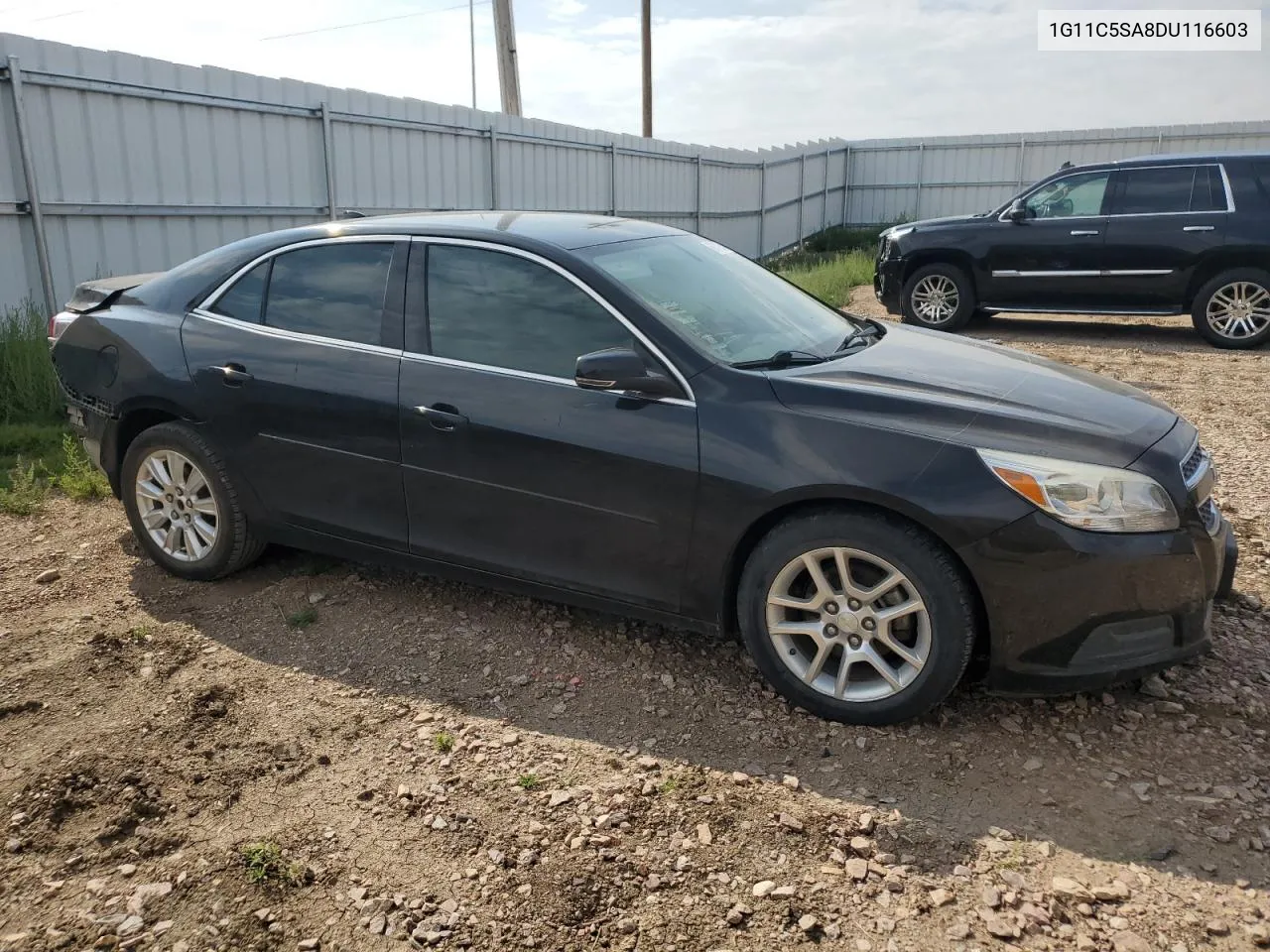 2013 Chevrolet Malibu 1Lt VIN: 1G11C5SA8DU116603 Lot: 66471264