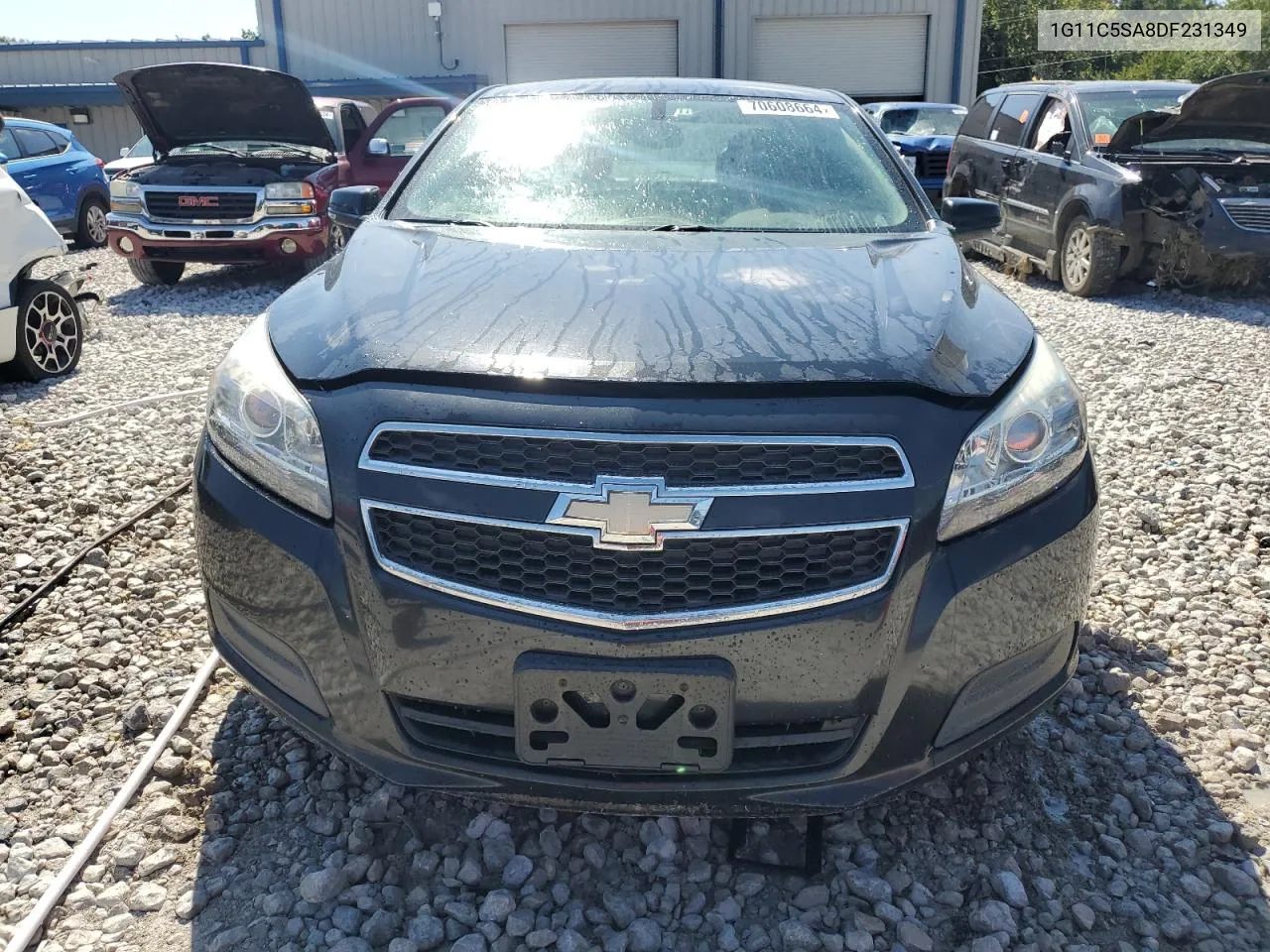 2013 Chevrolet Malibu 1Lt VIN: 1G11C5SA8DF231349 Lot: 70608664