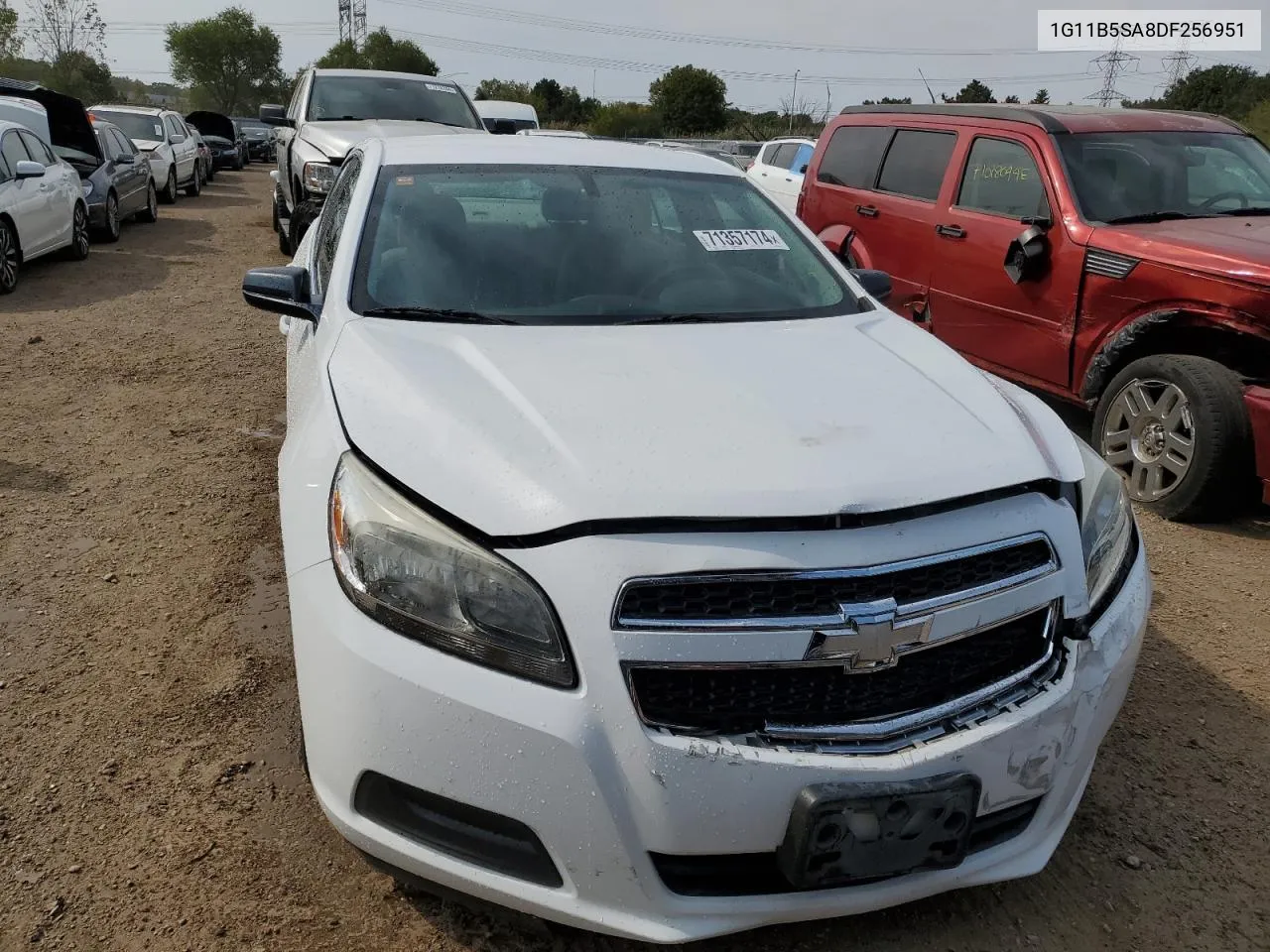 2013 Chevrolet Malibu Ls VIN: 1G11B5SA8DF256951 Lot: 71357174