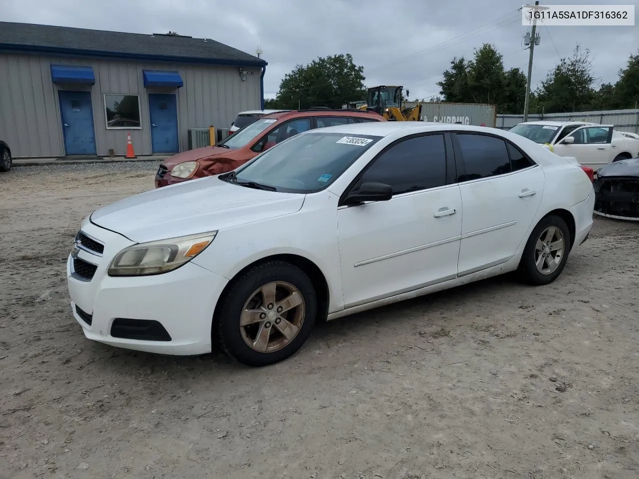 2013 Chevrolet Malibu Ls VIN: 1G11A5SA1DF316362 Lot: 71383034