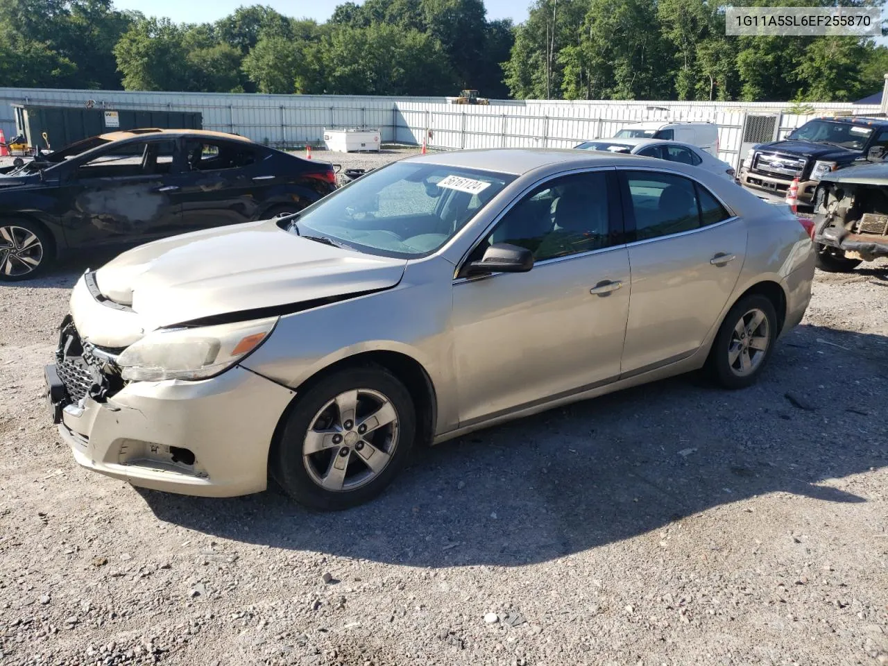 2014 Chevrolet Malibu Ls VIN: 1G11A5SL6EF255870 Lot: 56161124