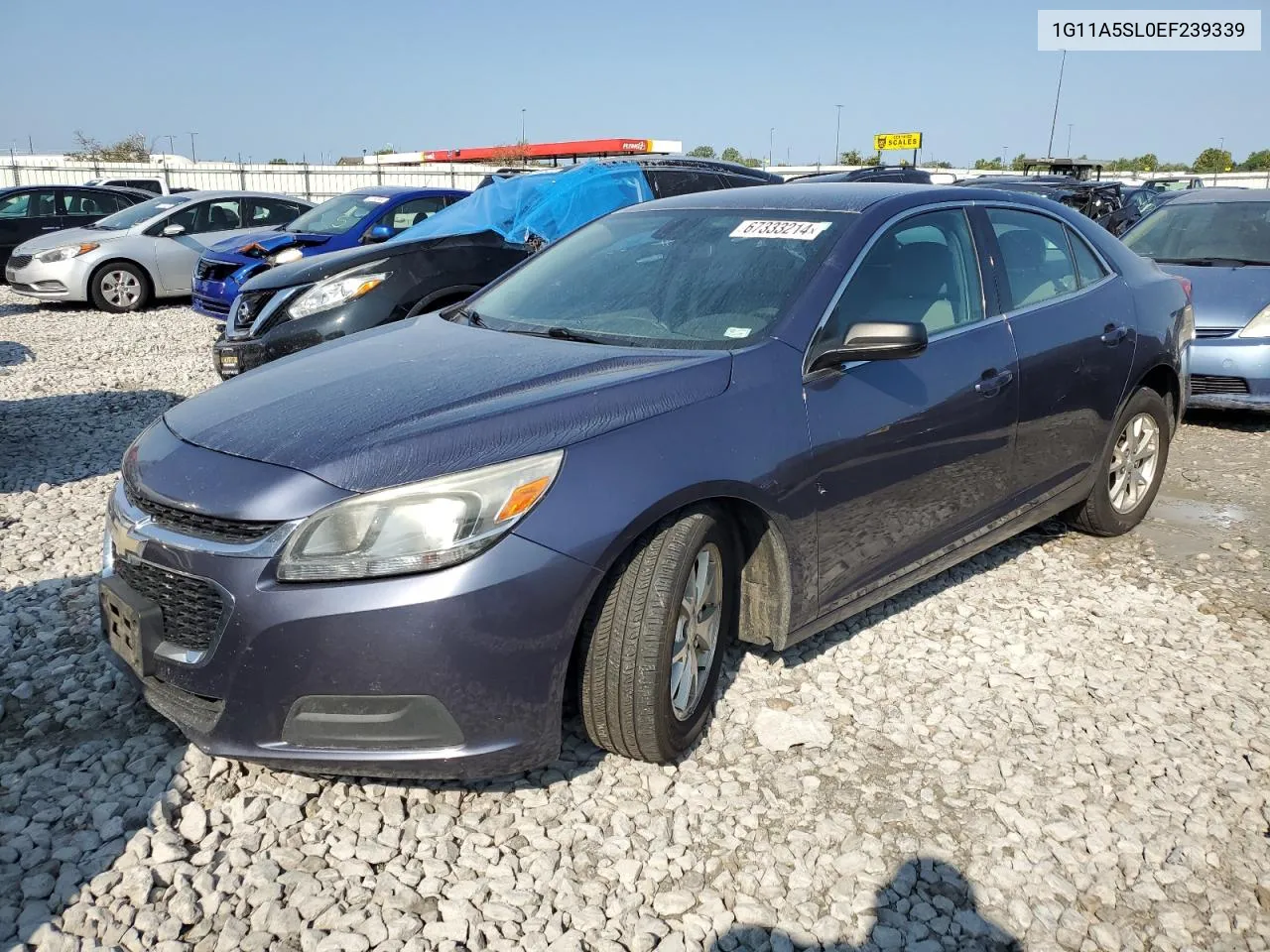 2014 Chevrolet Malibu Ls VIN: 1G11A5SL0EF239339 Lot: 67333214