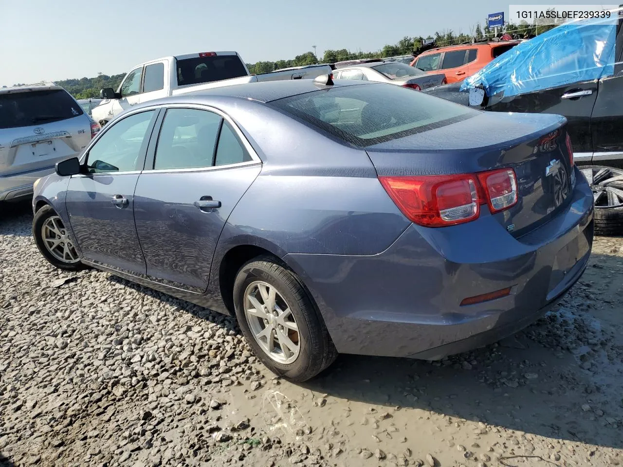 2014 Chevrolet Malibu Ls VIN: 1G11A5SL0EF239339 Lot: 67333214