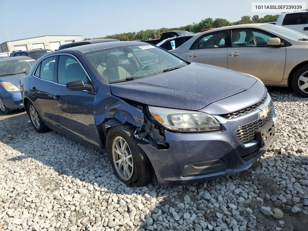 2014 Chevrolet Malibu Ls VIN: 1G11A5SL0EF239339 Lot: 67333214