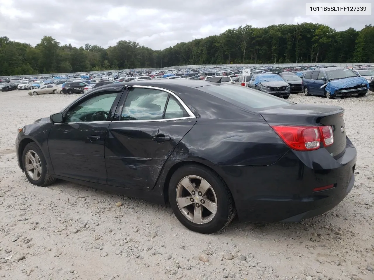 1G11B5SL1FF127339 2015 Chevrolet Malibu Ls