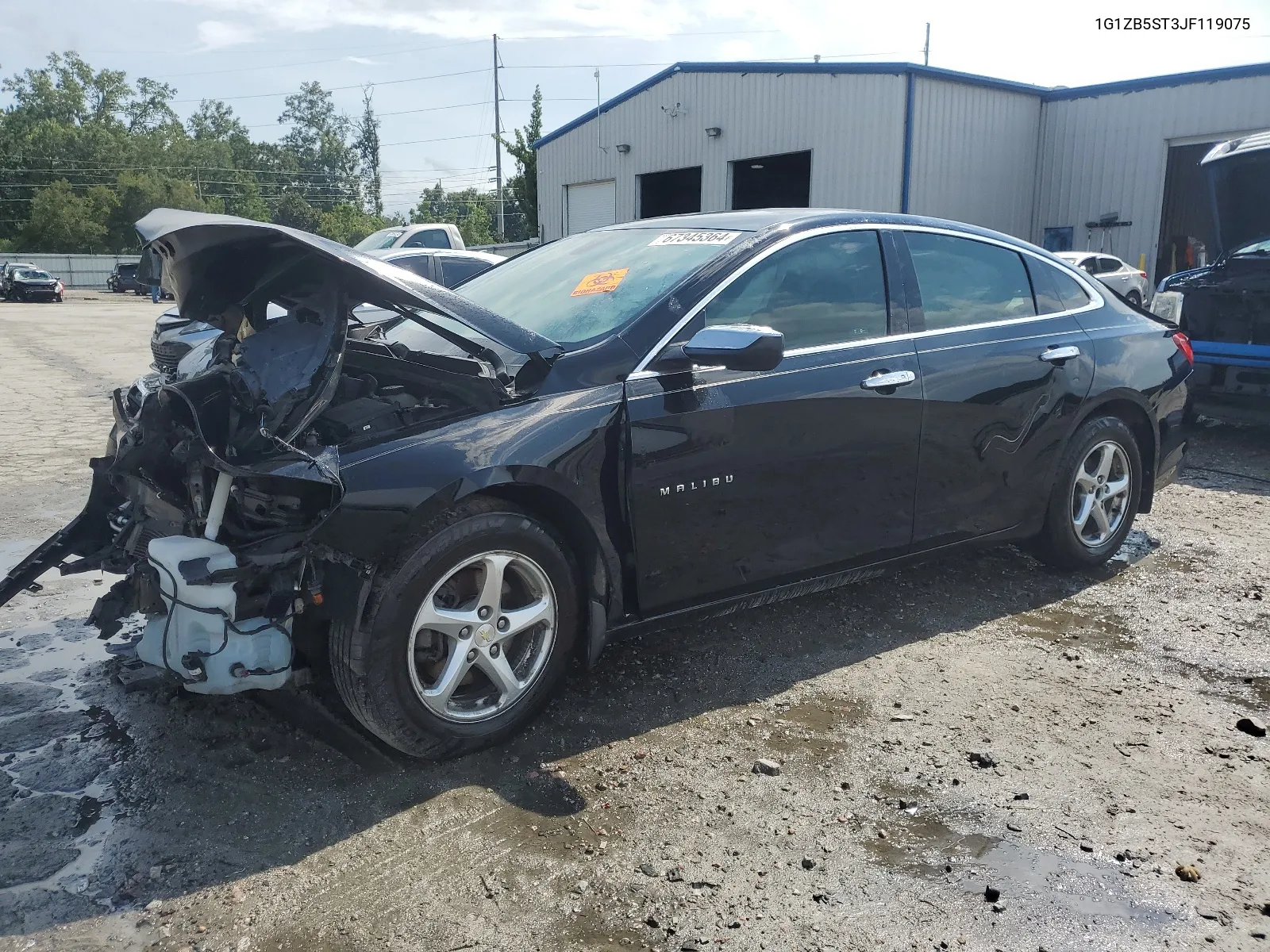 2018 Chevrolet Malibu Ls VIN: 1G1ZB5ST3JF119075 Lot: 67345364