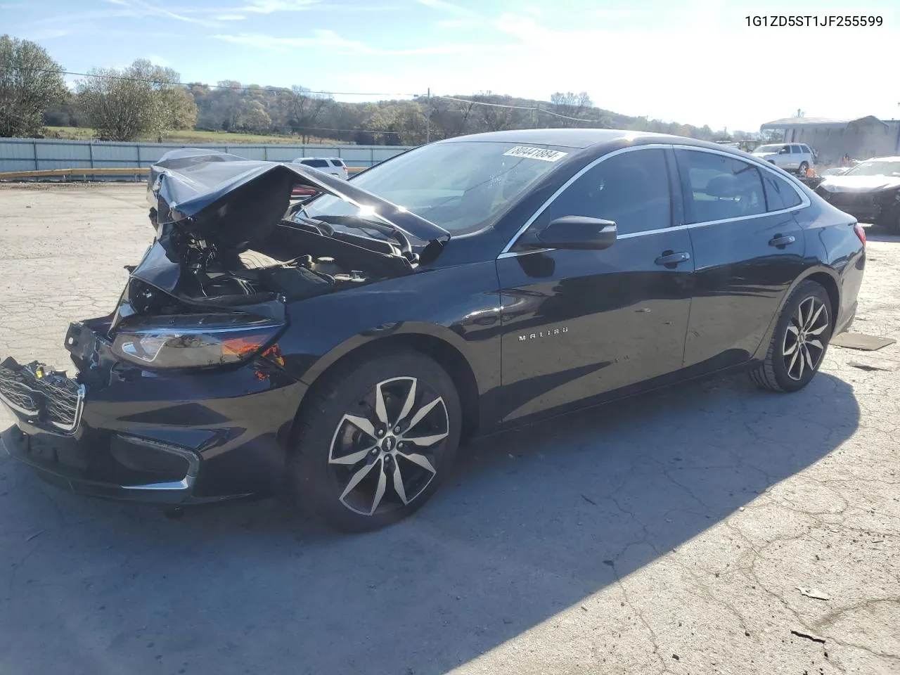 2018 Chevrolet Malibu Lt VIN: 1G1ZD5ST1JF255599 Lot: 80441884