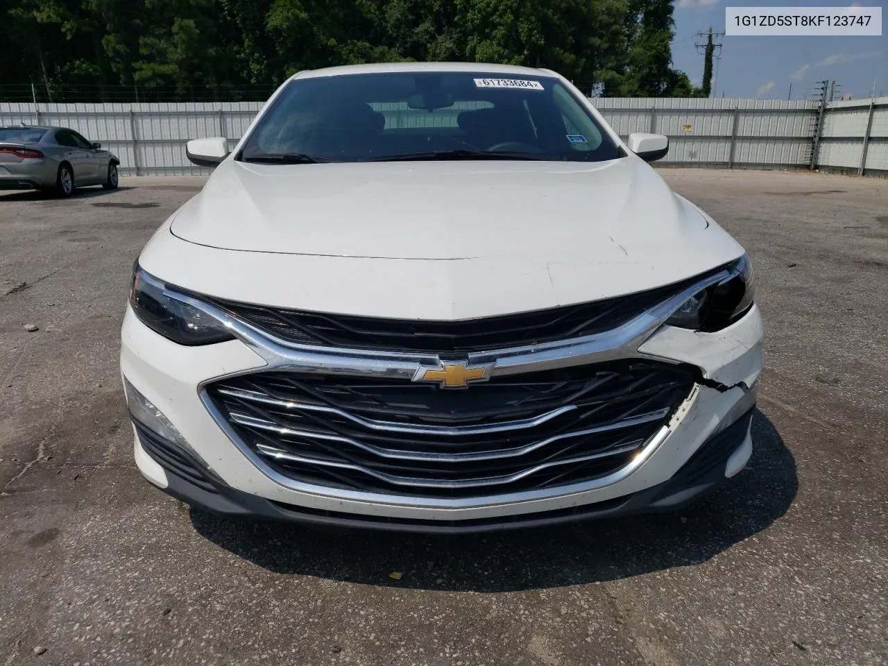 2019 Chevrolet Malibu Lt VIN: 1G1ZD5ST8KF123747 Lot: 61733684