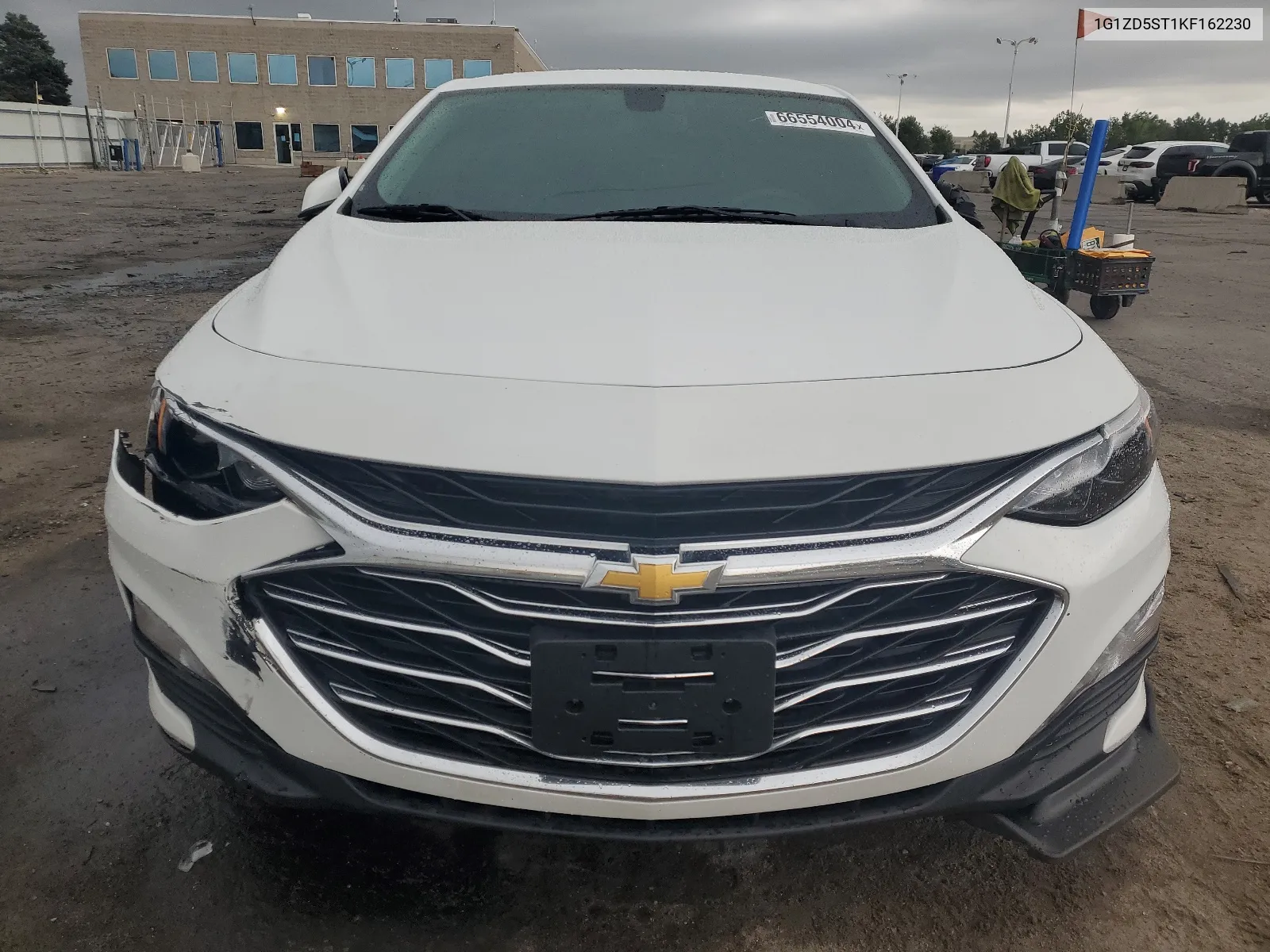 2019 Chevrolet Malibu Lt VIN: 1G1ZD5ST1KF162230 Lot: 66554004