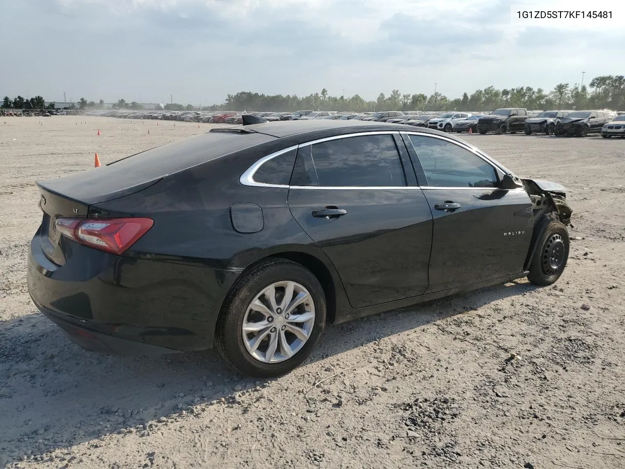 2019 Chevrolet Malibu Lt VIN: 1G1ZD5ST7KF145481 Lot: 67576044