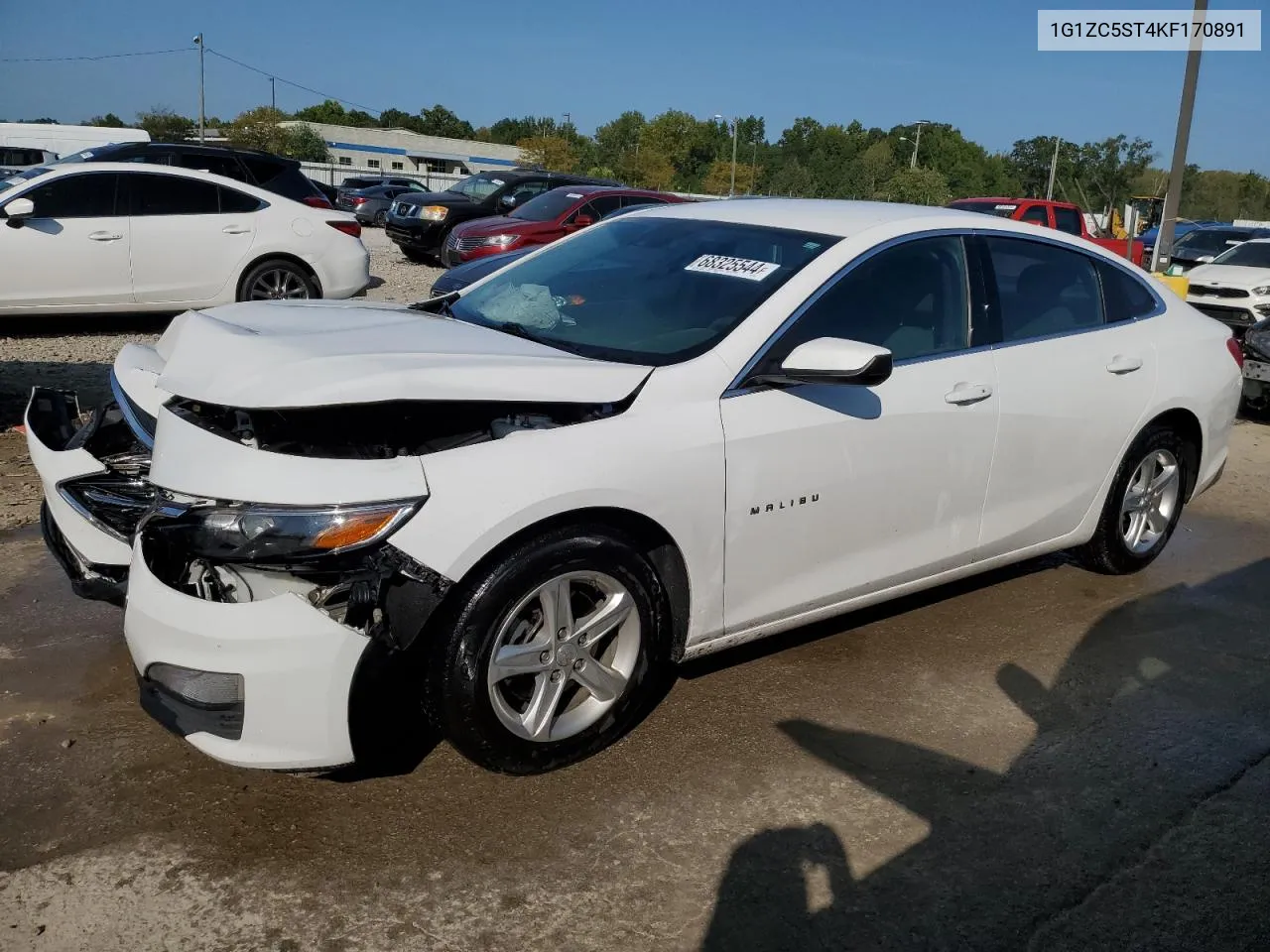 2019 Chevrolet Malibu Ls VIN: 1G1ZC5ST4KF170891 Lot: 68325544