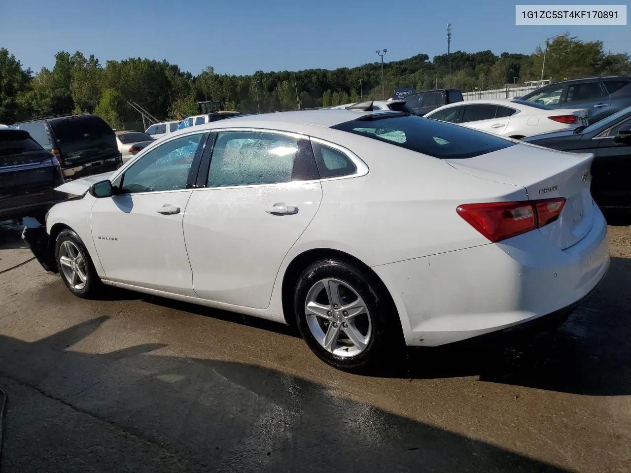 2019 Chevrolet Malibu Ls VIN: 1G1ZC5ST4KF170891 Lot: 68325544