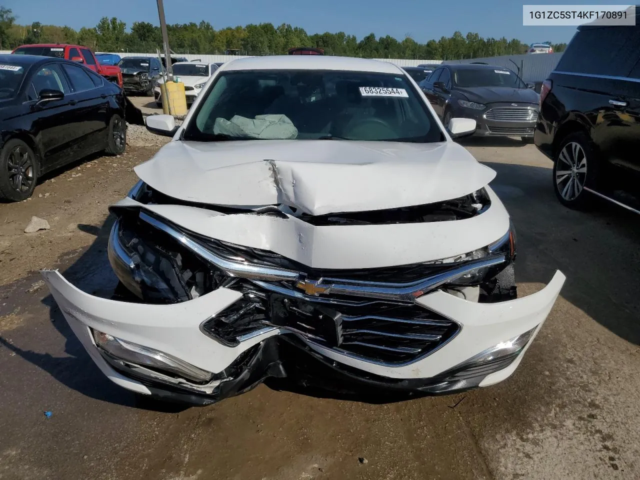 2019 Chevrolet Malibu Ls VIN: 1G1ZC5ST4KF170891 Lot: 68325544