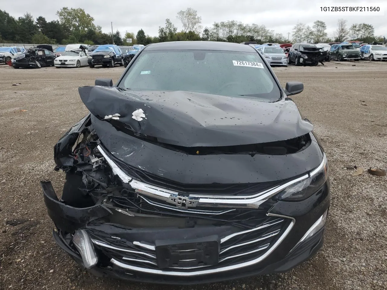 2019 Chevrolet Malibu Ls VIN: 1G1ZB5ST8KF211560 Lot: 72617384