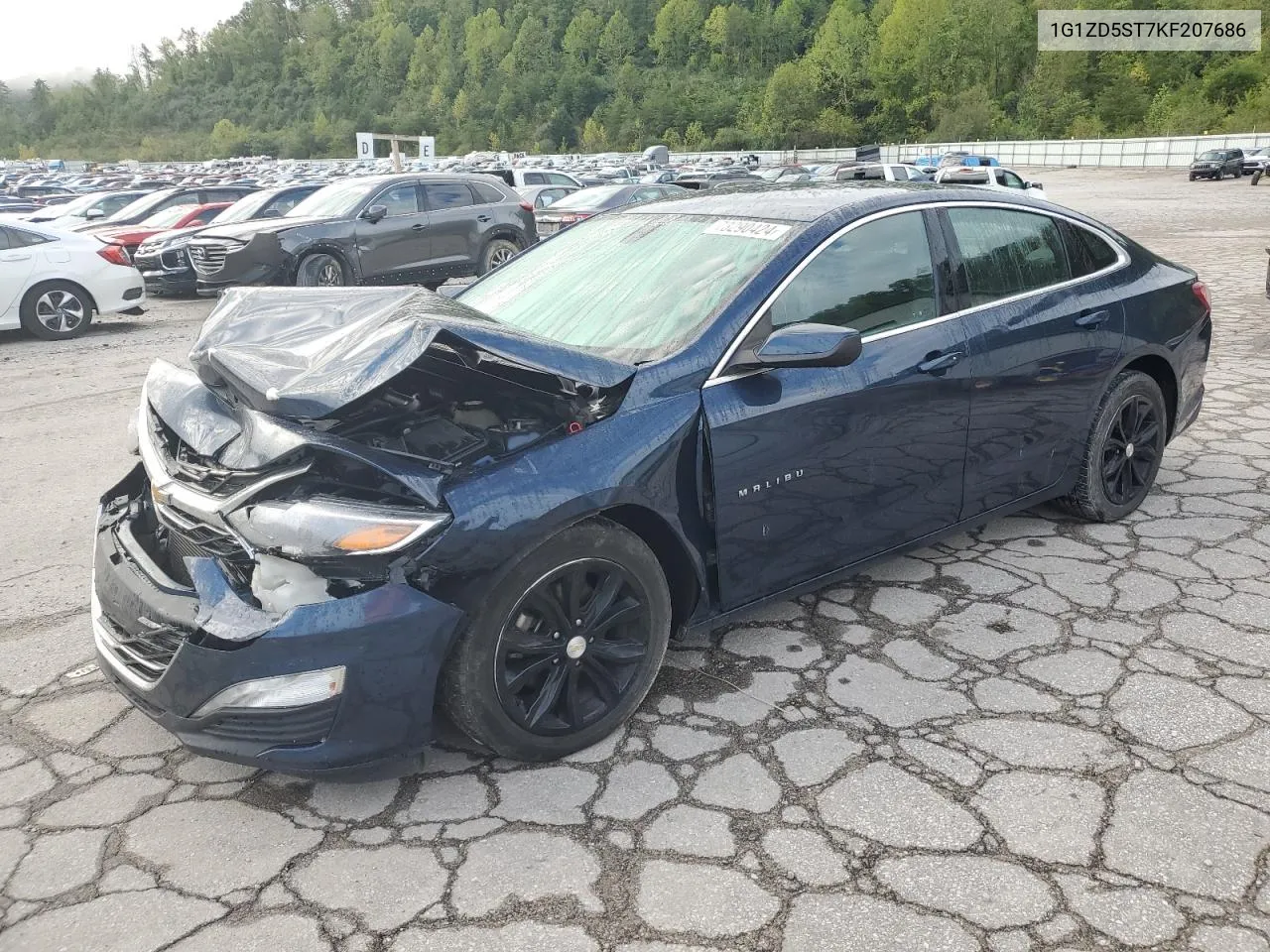 2019 Chevrolet Malibu Lt VIN: 1G1ZD5ST7KF207686 Lot: 73290424