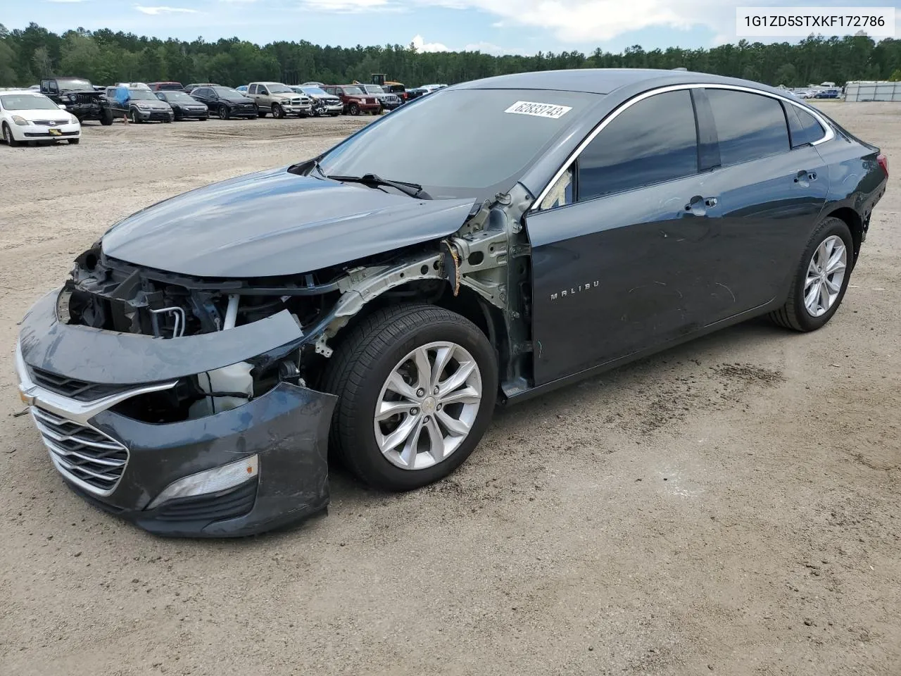 2019 Chevrolet Malibu Lt VIN: 1G1ZD5STXKF172786 Lot: 74219944