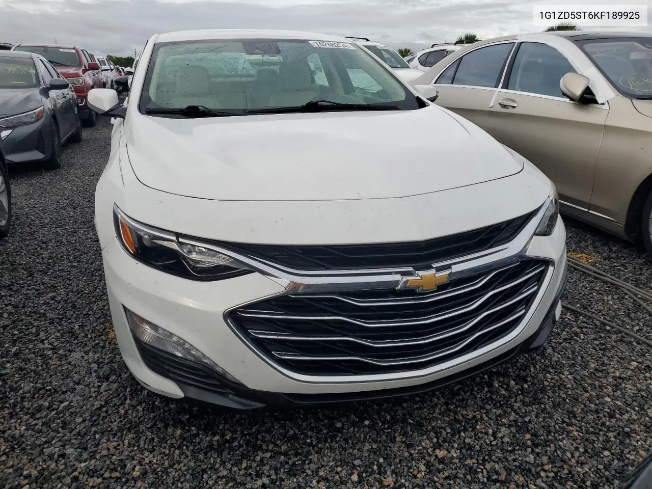 2019 Chevrolet Malibu Lt VIN: 1G1ZD5ST6KF189925 Lot: 74246254