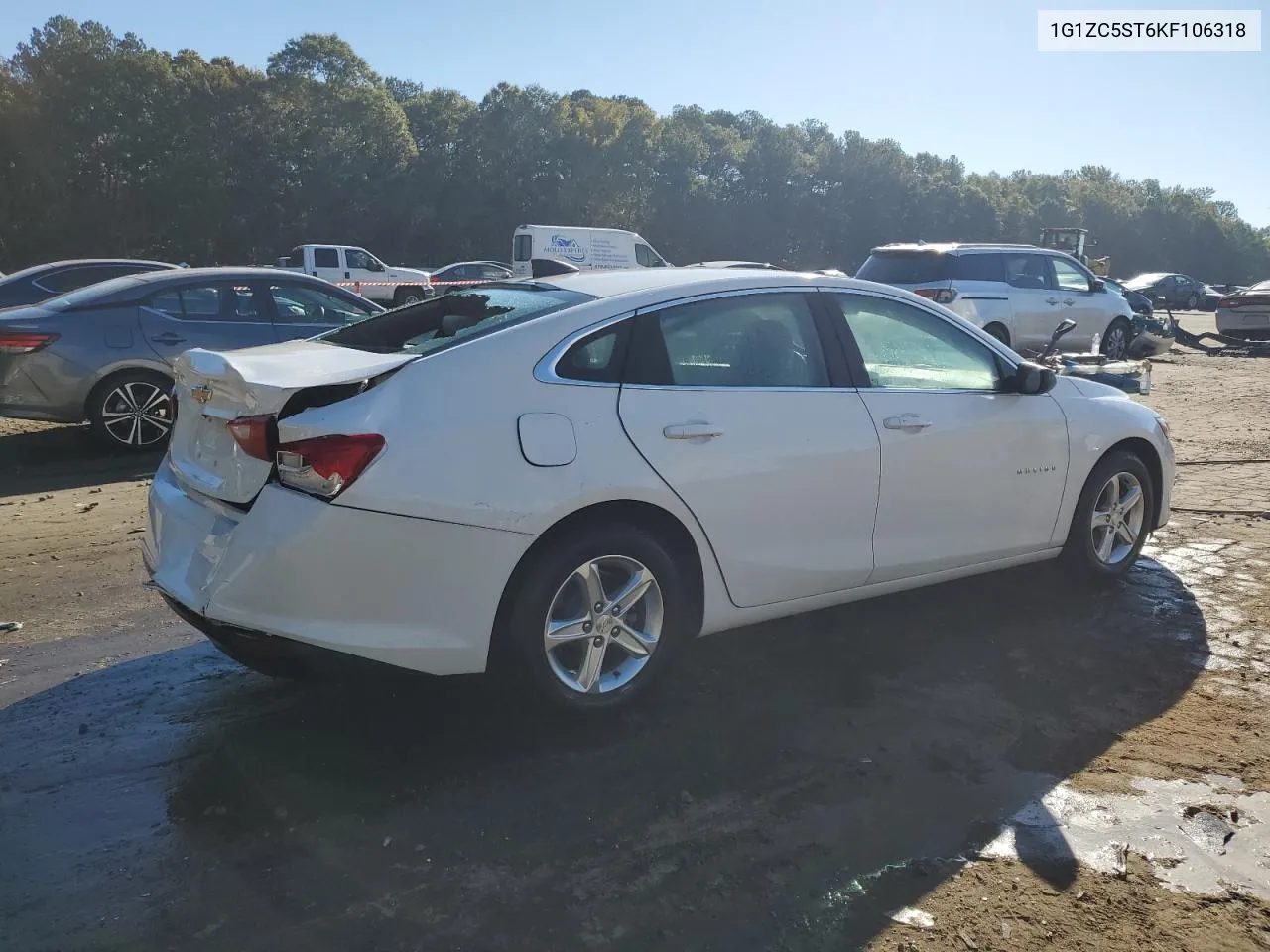 2019 Chevrolet Malibu Ls VIN: 1G1ZC5ST6KF106318 Lot: 76055864