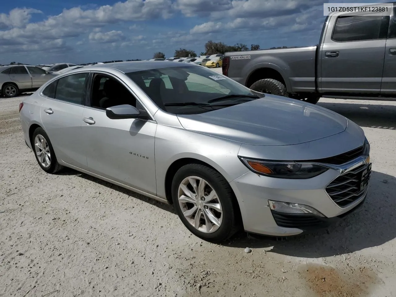 2019 Chevrolet Malibu Lt VIN: 1G1ZD5ST1KF123881 Lot: 77184074