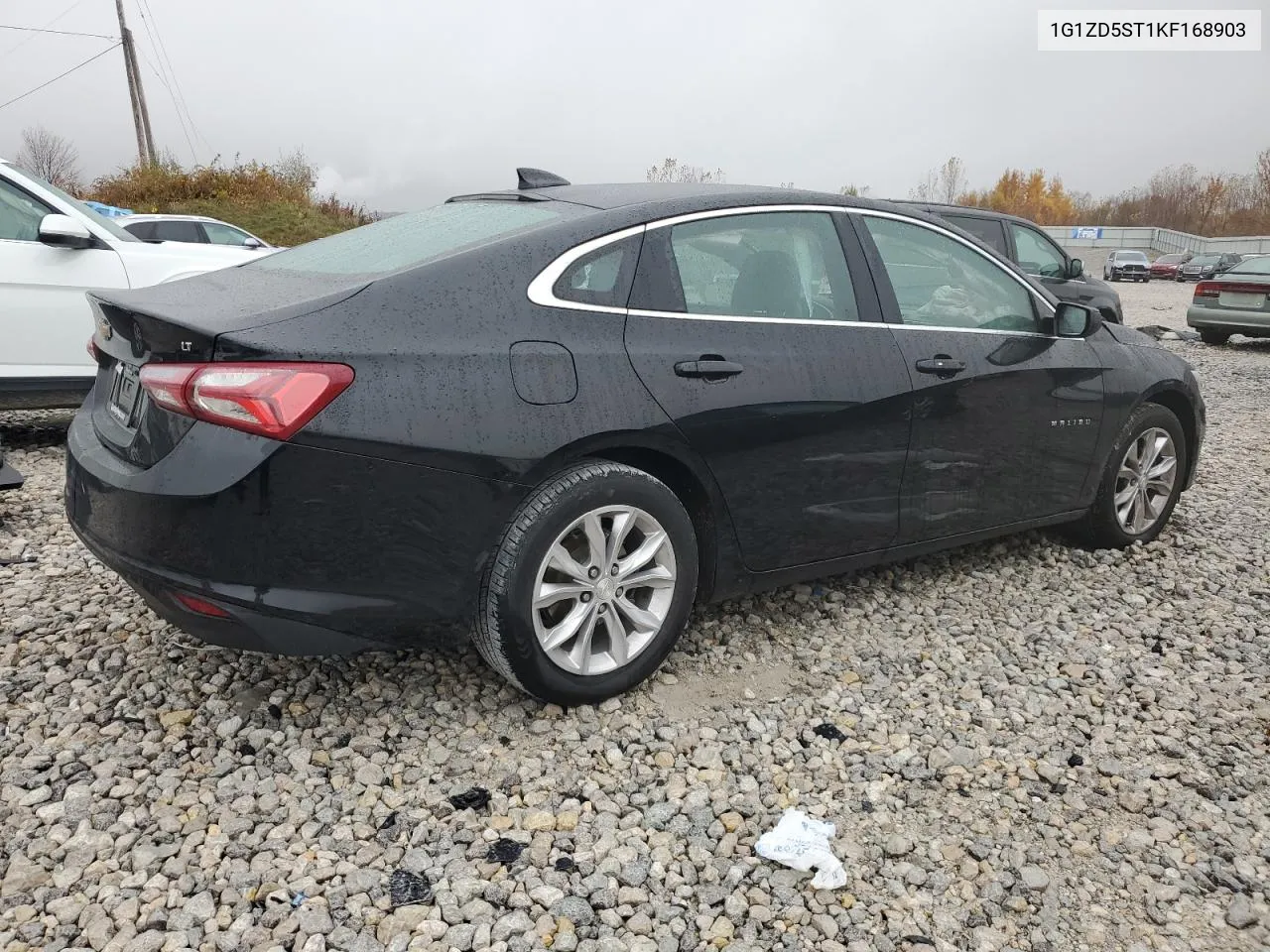 2019 Chevrolet Malibu Lt VIN: 1G1ZD5ST1KF168903 Lot: 77601074