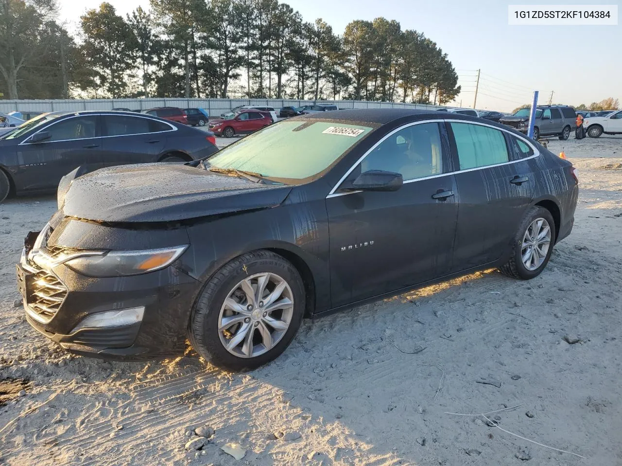 2019 Chevrolet Malibu Lt VIN: 1G1ZD5ST2KF104384 Lot: 78265754