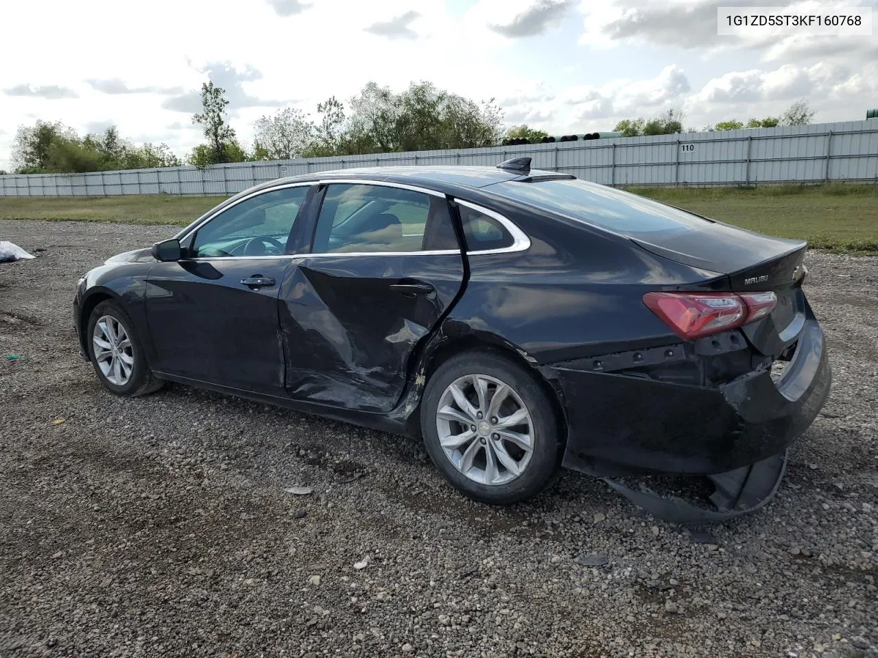 2019 Chevrolet Malibu Lt VIN: 1G1ZD5ST3KF160768 Lot: 79512844