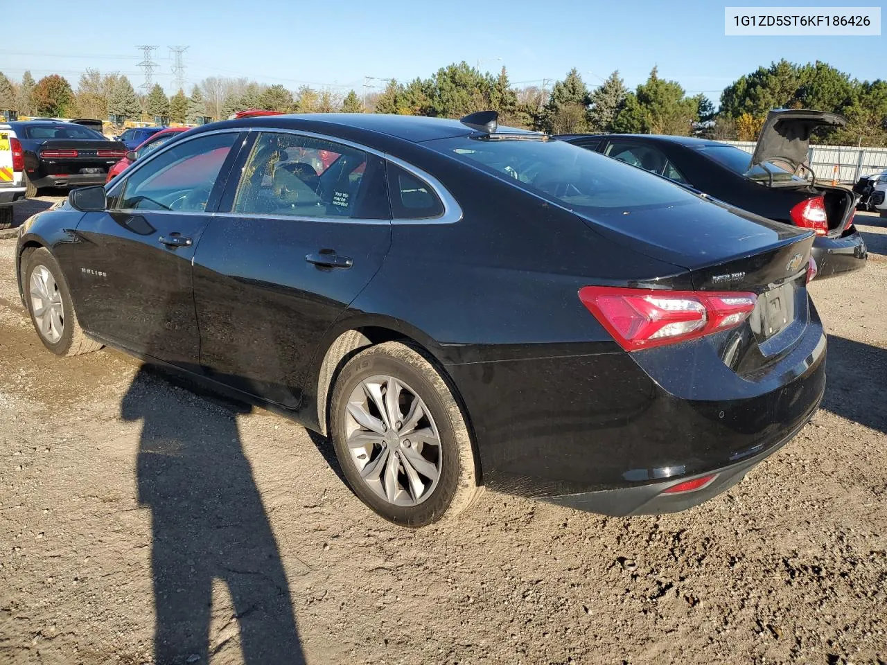 2019 Chevrolet Malibu Lt VIN: 1G1ZD5ST6KF186426 Lot: 79629794