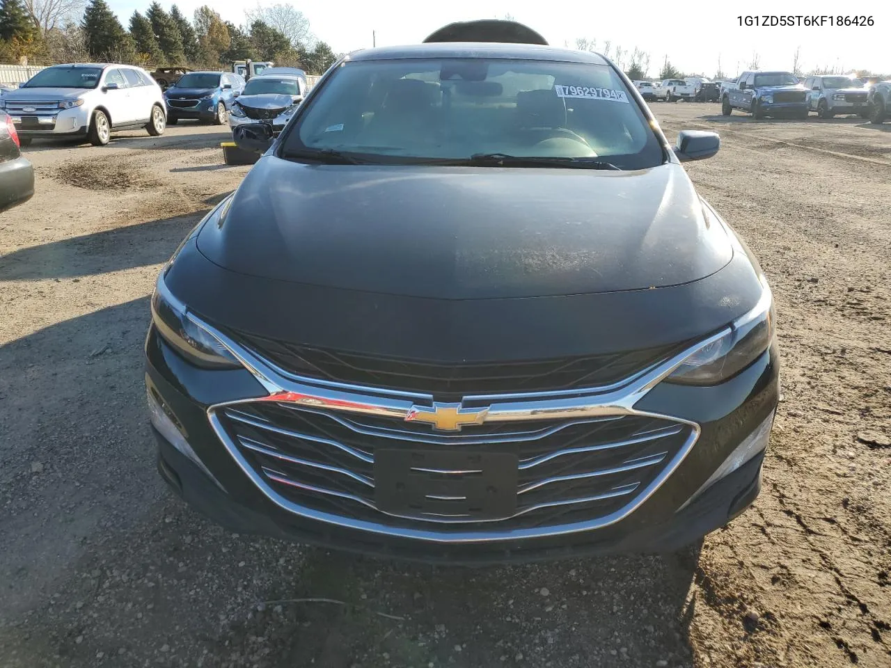 2019 Chevrolet Malibu Lt VIN: 1G1ZD5ST6KF186426 Lot: 79629794