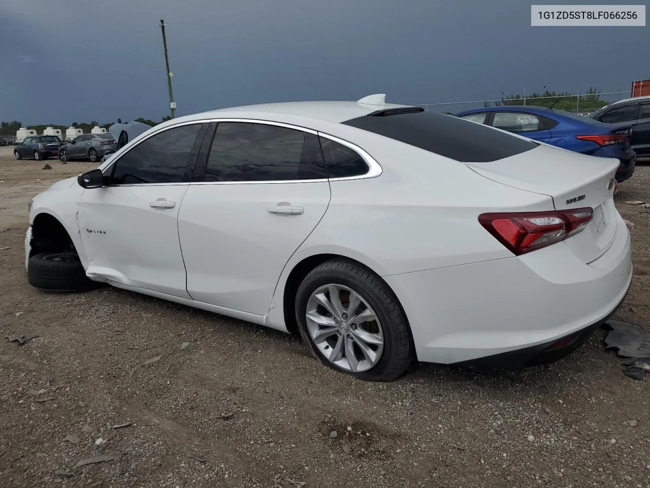 2020 Chevrolet Malibu Lt VIN: 1G1ZD5ST8LF066256 Lot: 69374544