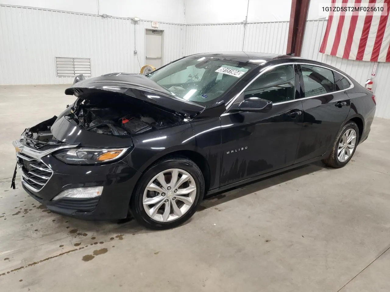 2021 Chevrolet Malibu Lt VIN: 1G1ZD5ST2MF025610 Lot: 58151904