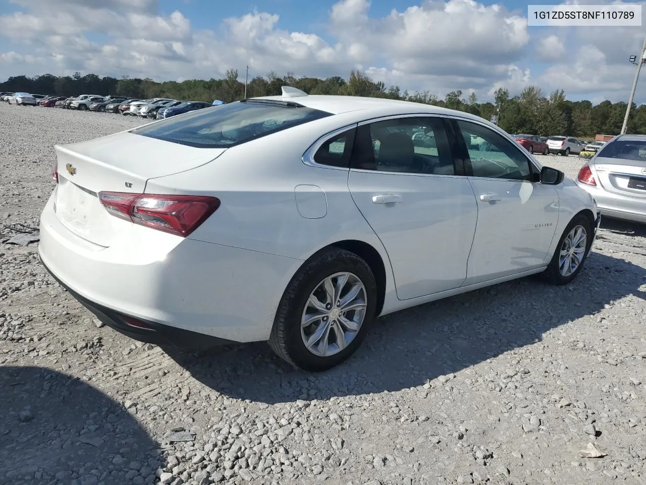 2022 Chevrolet Malibu Lt VIN: 1G1ZD5ST8NF110789 Lot: 80273624