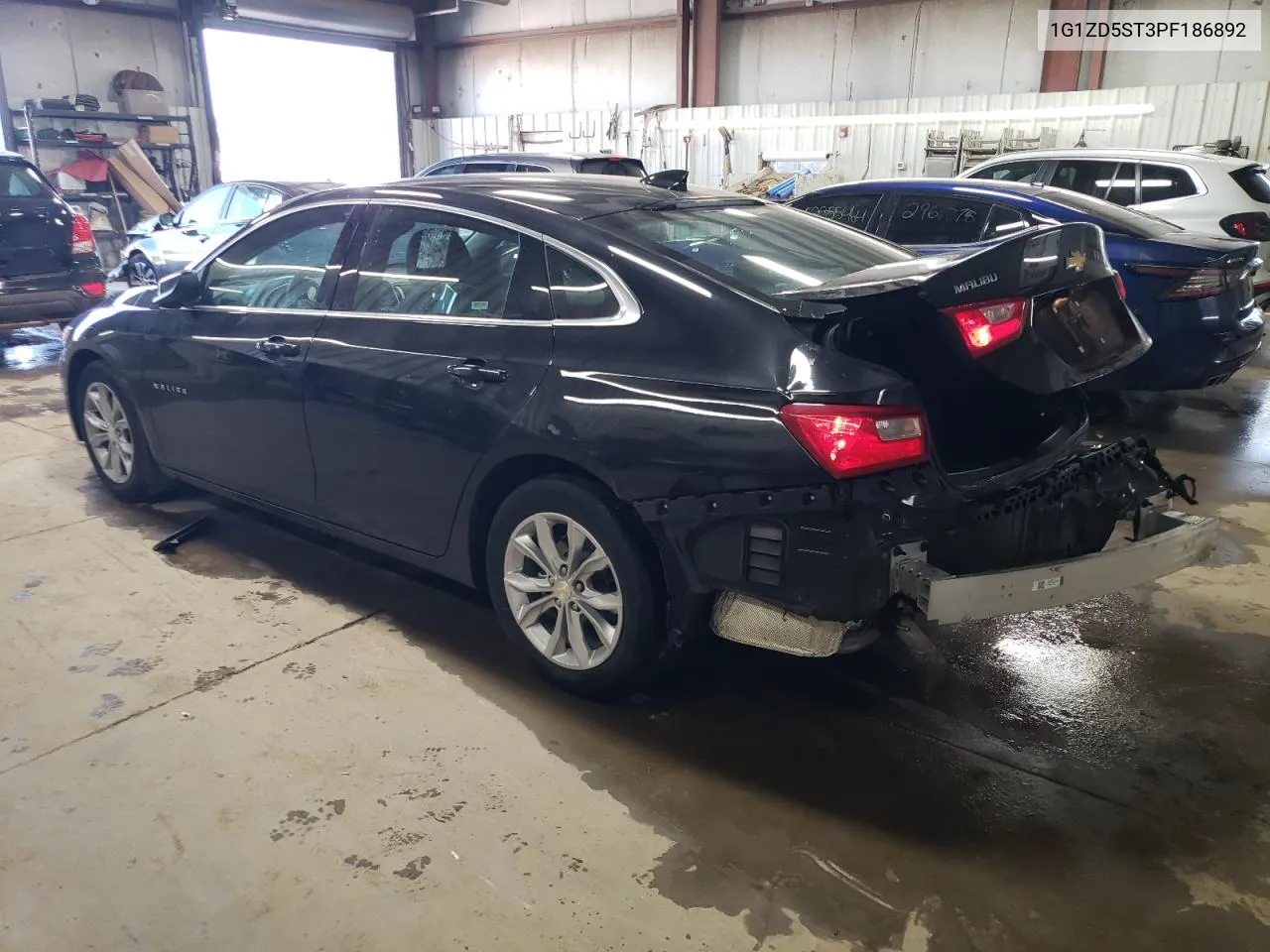 2023 Chevrolet Malibu Lt VIN: 1G1ZD5ST3PF186892 Lot: 52486484