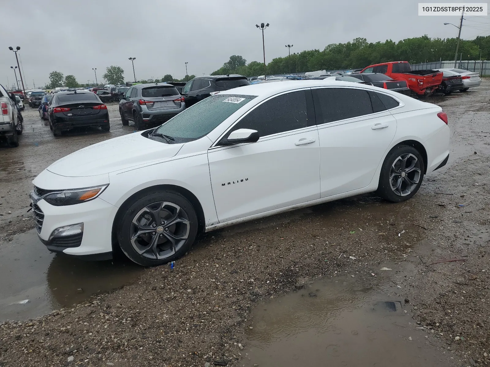 2023 Chevrolet Malibu Lt VIN: 1G1ZD5ST8PF120225 Lot: 54548554