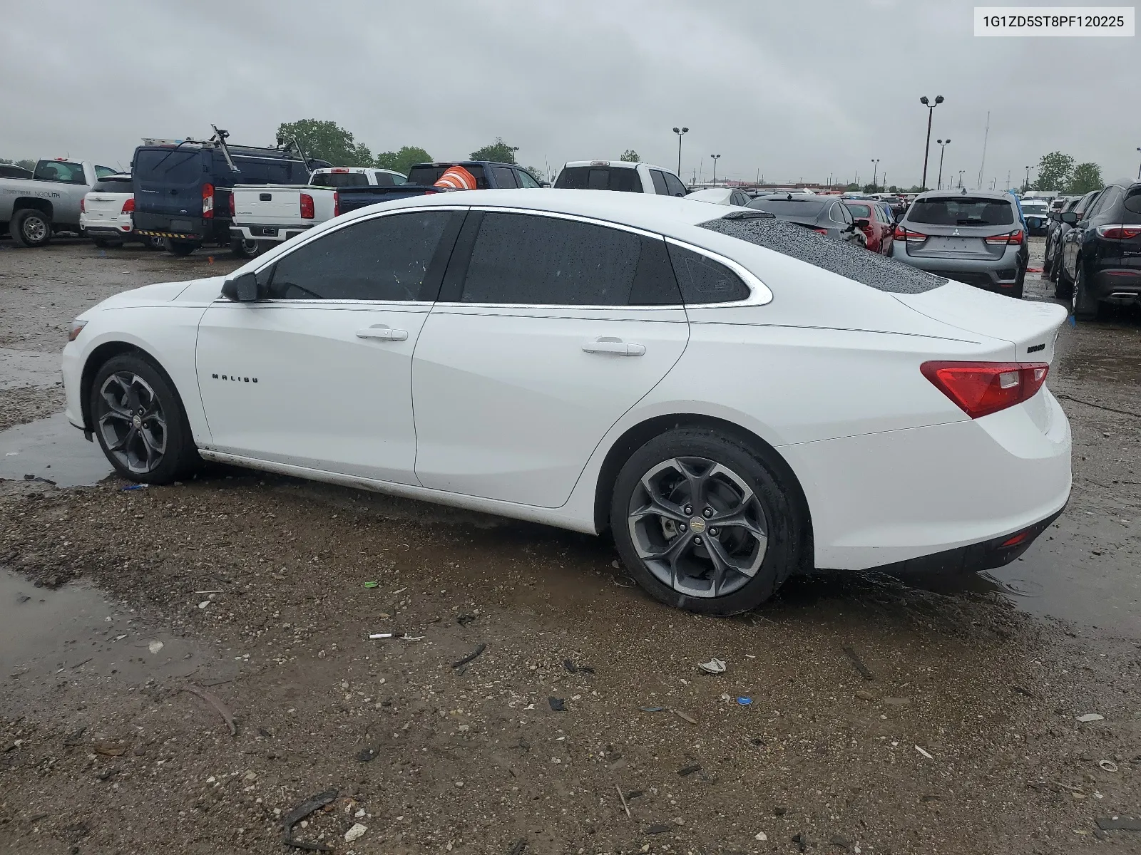 2023 Chevrolet Malibu Lt VIN: 1G1ZD5ST8PF120225 Lot: 54548554