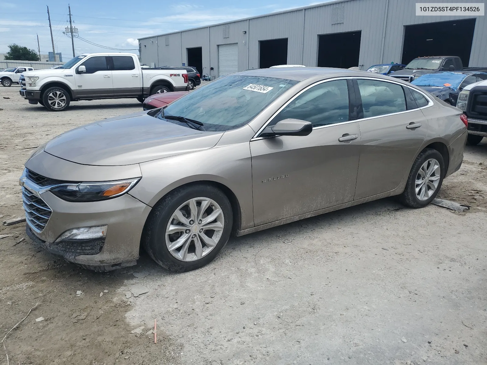 2023 Chevrolet Malibu Lt VIN: 1G1ZD5ST4PF134526 Lot: 64501654