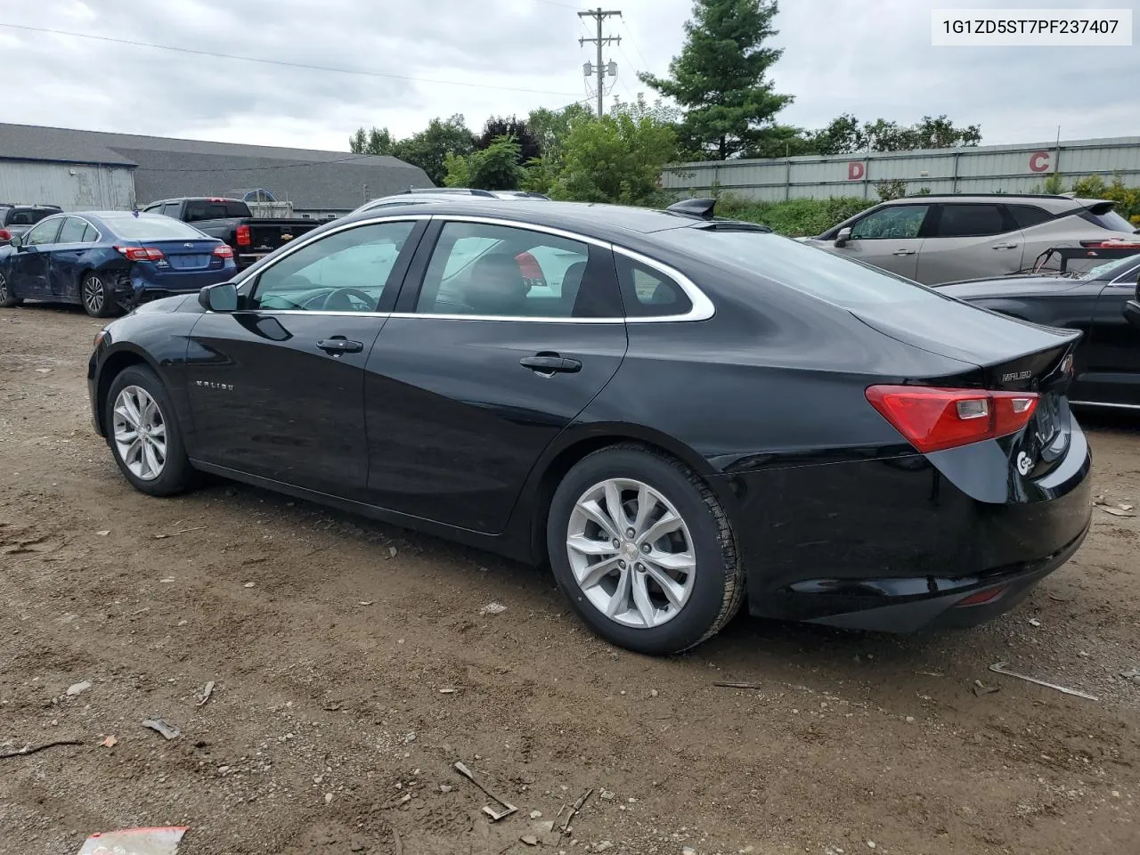 2023 Chevrolet Malibu Lt VIN: 1G1ZD5ST7PF237407 Lot: 69429604