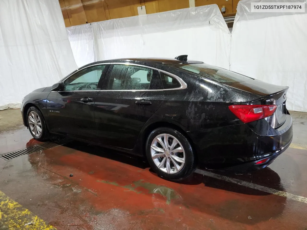 1G1ZD5STXPF187974 2023 Chevrolet Malibu Lt