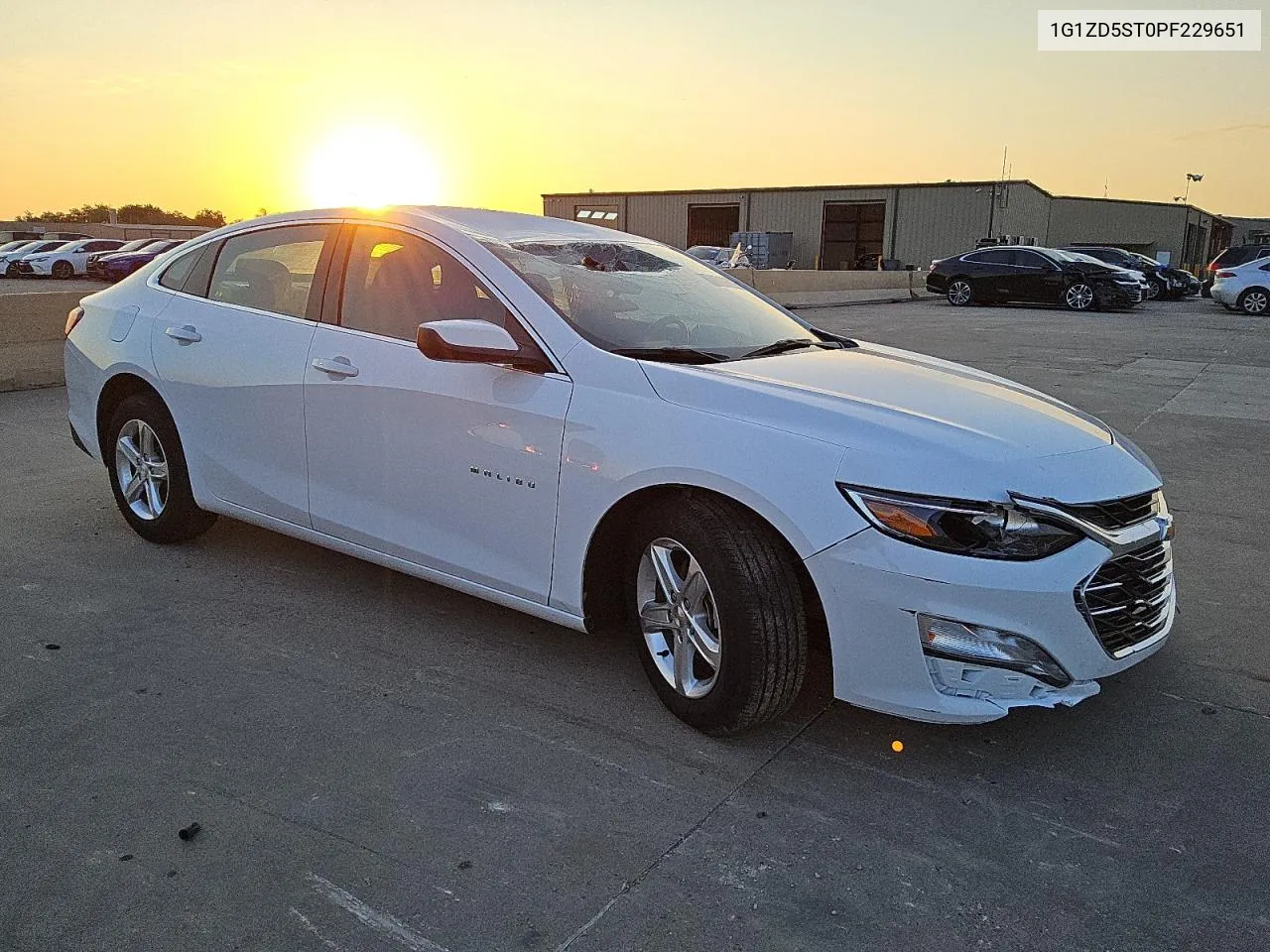 2023 Chevrolet Malibu Lt VIN: 1G1ZD5ST0PF229651 Lot: 74715074