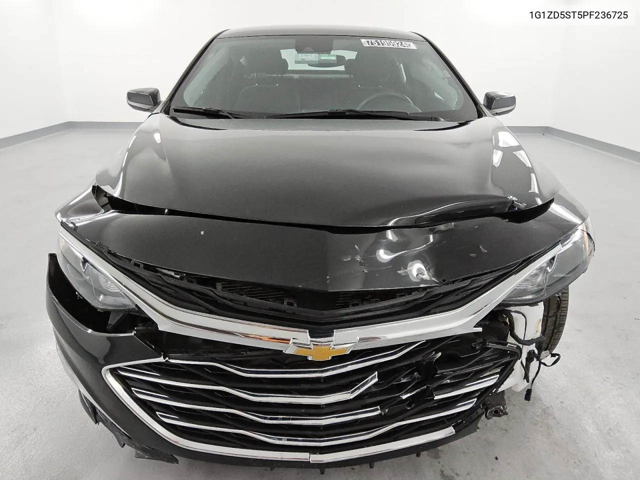 2023 Chevrolet Malibu Lt VIN: 1G1ZD5ST5PF236725 Lot: 75195924