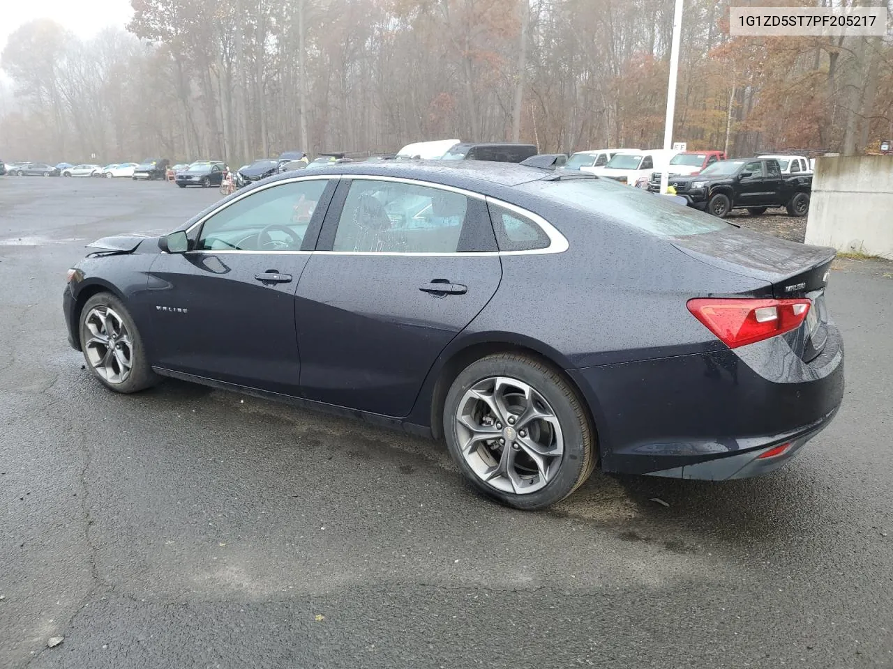 2023 Chevrolet Malibu Lt VIN: 1G1ZD5ST7PF205217 Lot: 78581774