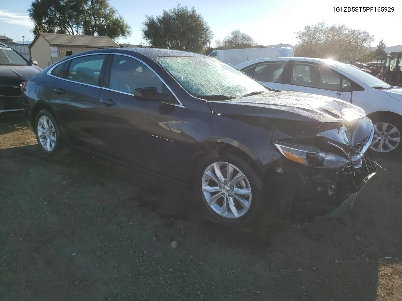 2023 Chevrolet Malibu Lt VIN: 1G1ZD5ST5PF165929 Lot: 78886334