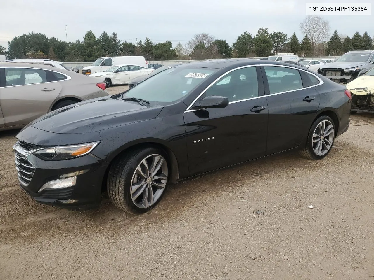 2023 Chevrolet Malibu Lt VIN: 1G1ZD5ST4PF135384 Lot: 80632954