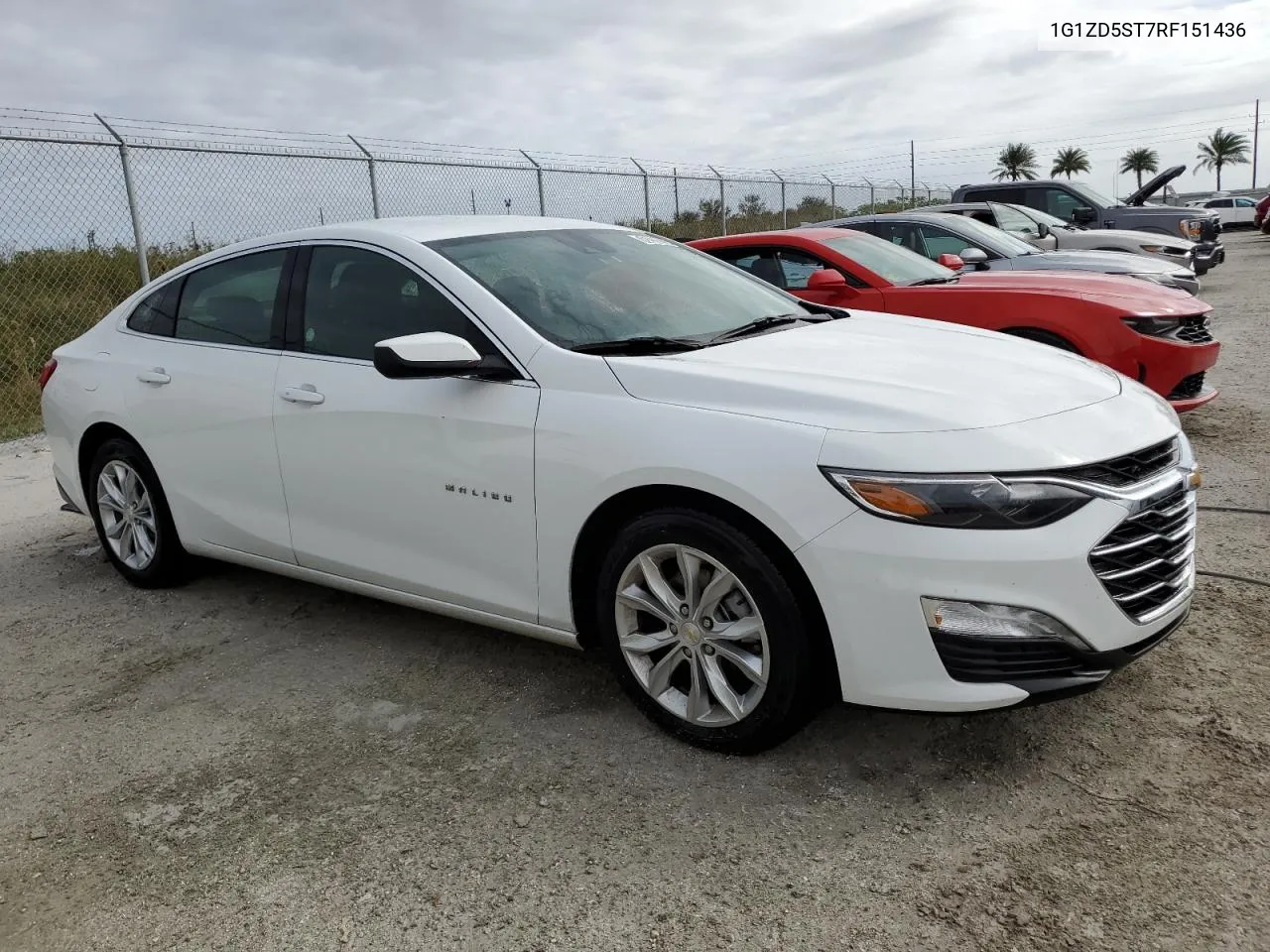 2024 Chevrolet Malibu Lt VIN: 1G1ZD5ST7RF151436 Lot: 76278224