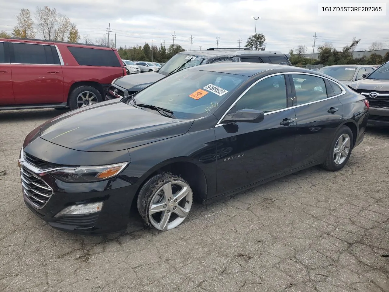 2024 Chevrolet Malibu Lt VIN: 1G1ZD5ST3RF202365 Lot: 79773704