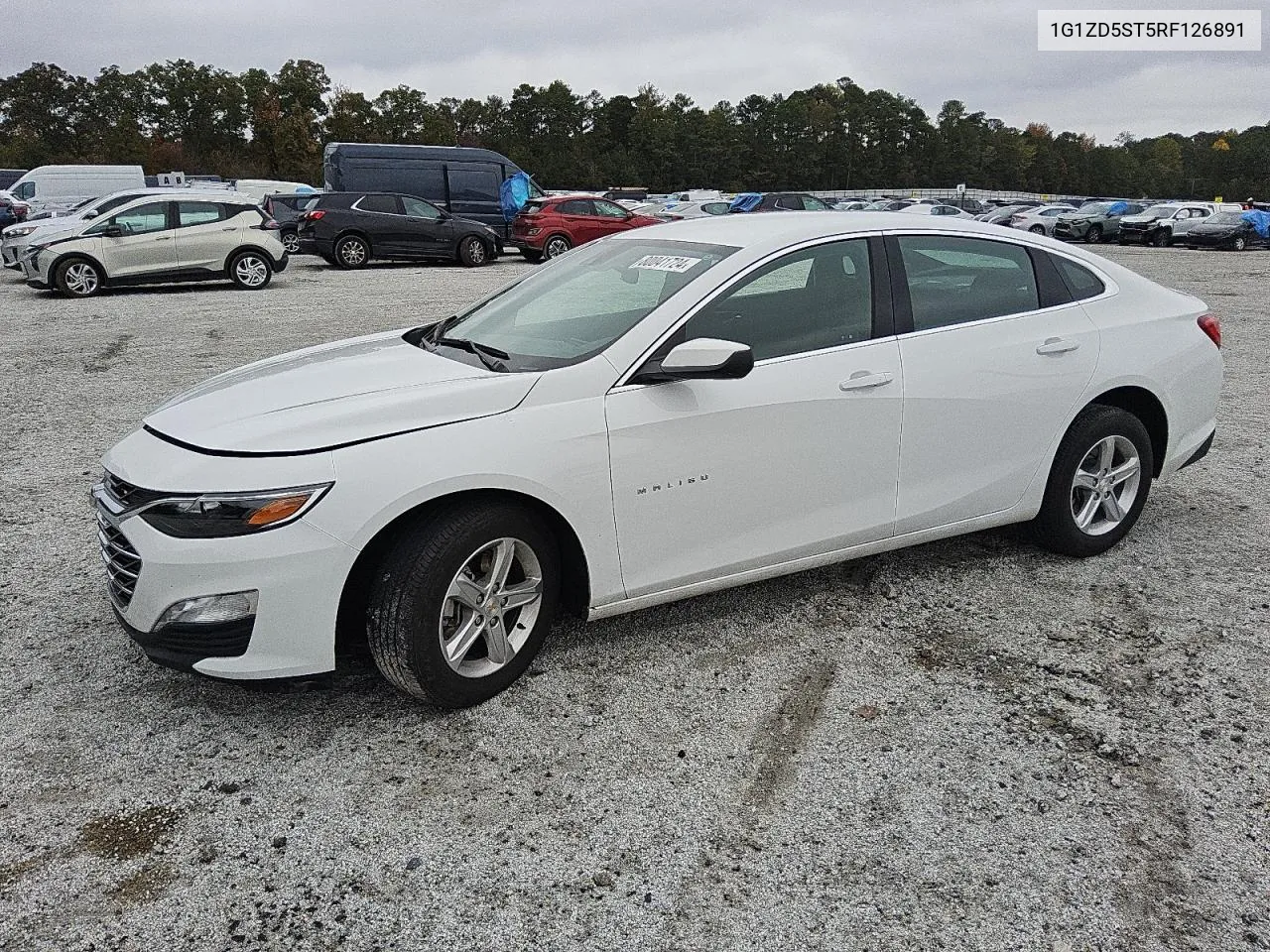 2024 Chevrolet Malibu Lt VIN: 1G1ZD5ST5RF126891 Lot: 80041724