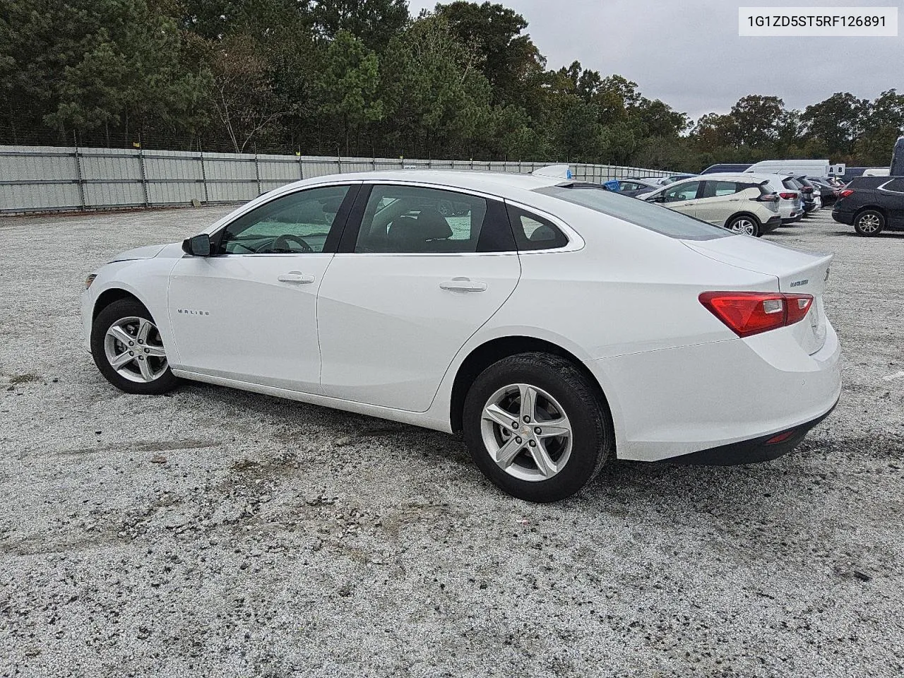 2024 Chevrolet Malibu Lt VIN: 1G1ZD5ST5RF126891 Lot: 80041724