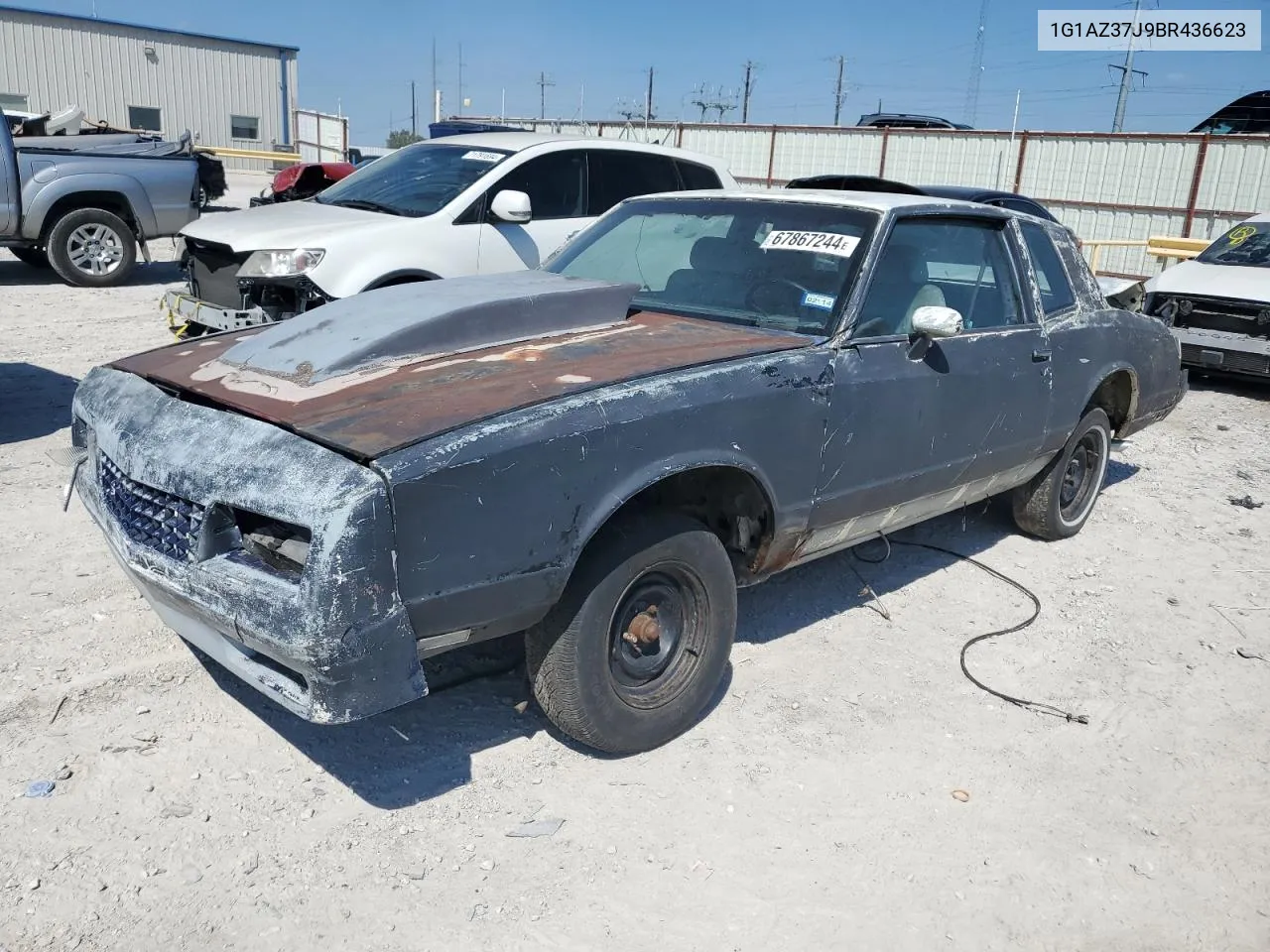 1981 Chevrolet Monte Carlo VIN: 1G1AZ37J9BR436623 Lot: 67867244