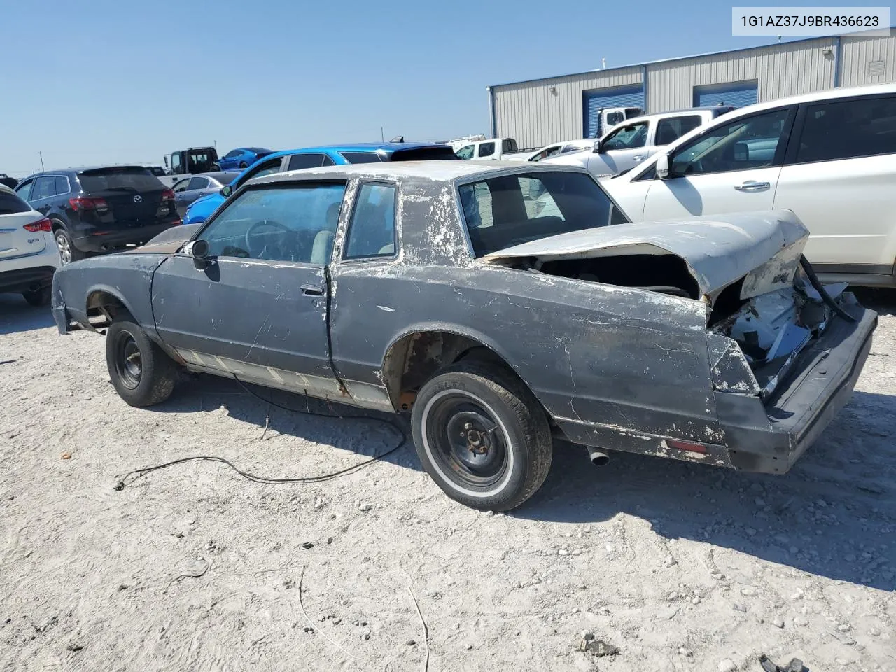 1981 Chevrolet Monte Carlo VIN: 1G1AZ37J9BR436623 Lot: 67867244