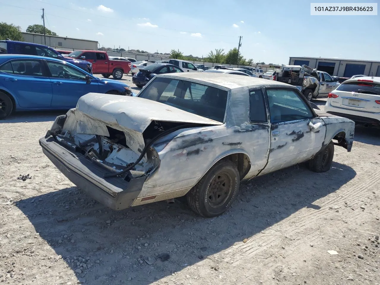 1981 Chevrolet Monte Carlo VIN: 1G1AZ37J9BR436623 Lot: 67867244